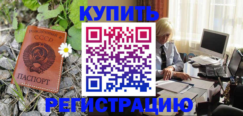 временная регистрация поиск в Курчалом